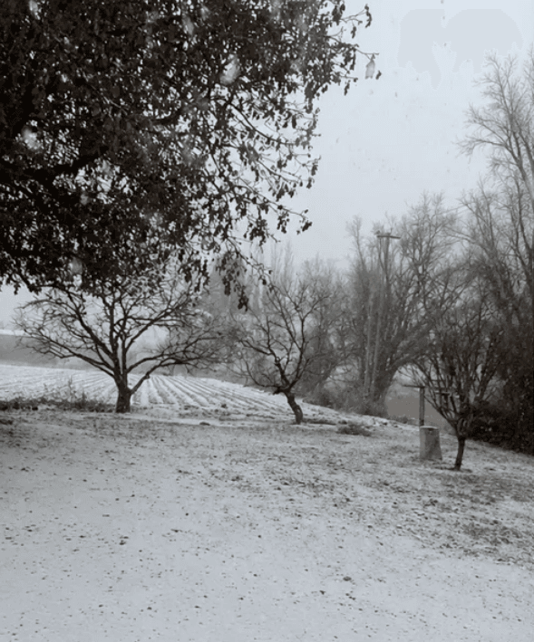 Nevadas en el llano: el frente polar ya afecta Valle de Uco y San Rafael